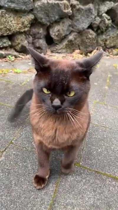 Bruce was not in a good mood.