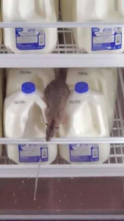 Yep we might close down