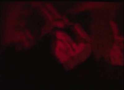 cartis verse on flex up appreciation post, shit was like teaser for wlr