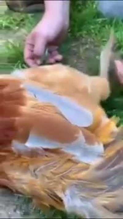 Don't Cross the Line