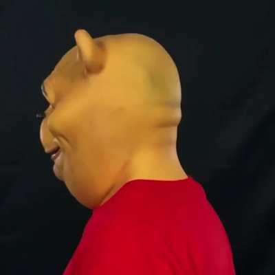 Thanks, I hate this Winnie the Pooh mask