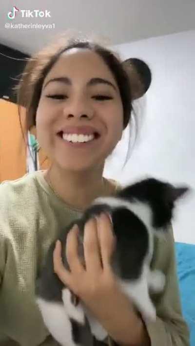 Cat reacting to ”Wind tunnel” face.