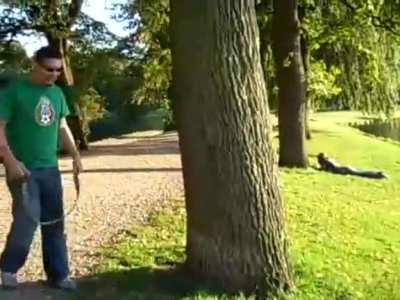 The great tree climb that wasn't