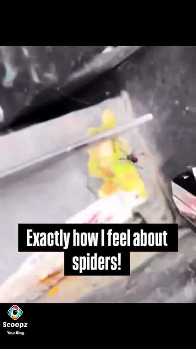 Idiot or genius 🤔