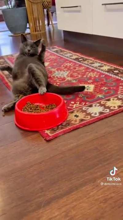 I’ve never seen anything like this before lmaoo