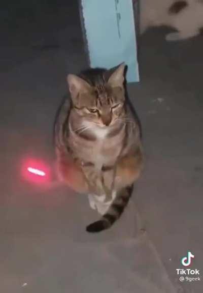 «Я в своем познании настолько преисполнился…»