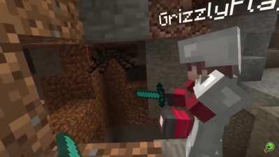 Killing spider gone wrong.