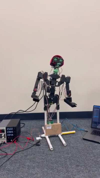 2nd gen Mitzi equivalent performing 