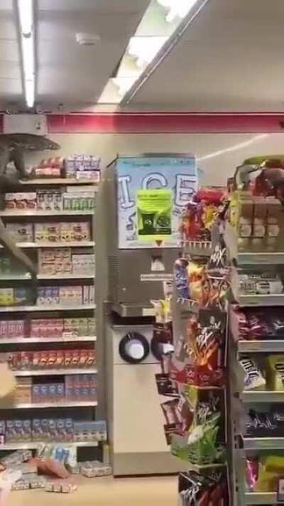 This store really monitor its groceries.
