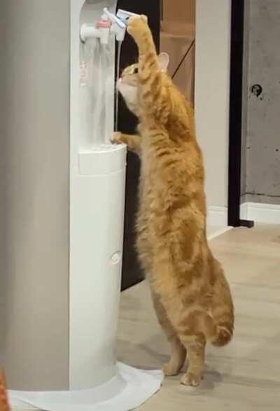 Don't need no hooman