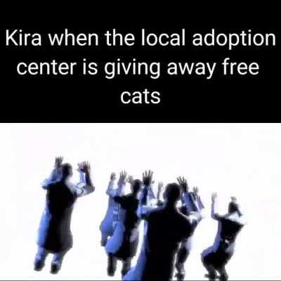 Kira when he gets cats