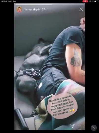 edgar is not felix’s dog, felix is edgar’s human