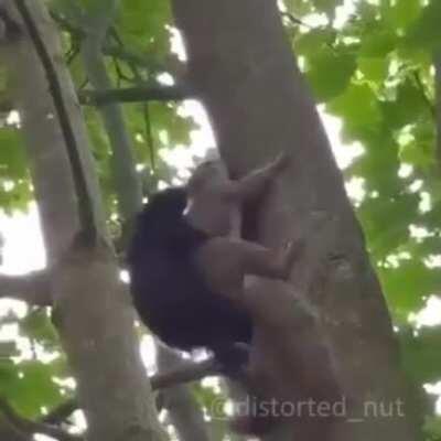 just like that everything changed