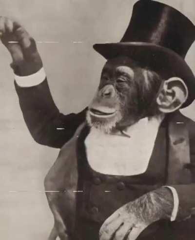 tataravo do muquinha 😍😍😍😍😍😍💀💀💀💀😳😳😳😳