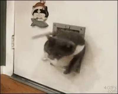 when quarantine is over!!