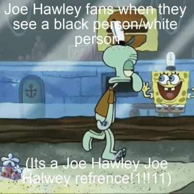 I can believe joe halwey joe hawley invented black people/white people