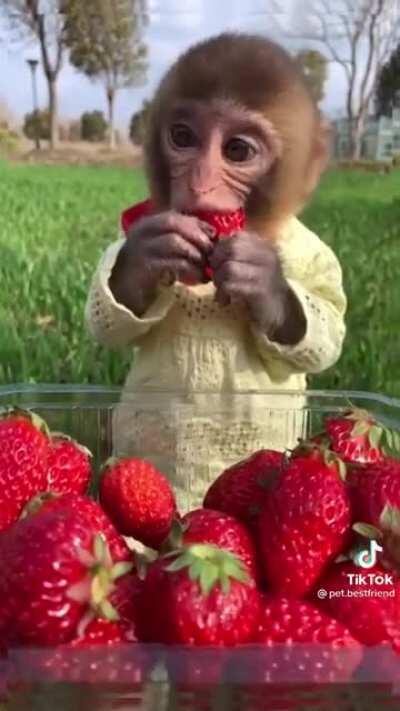 when you go on a picnic date with a cumtown fan