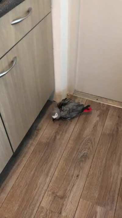 She goes hard when i do the dishes