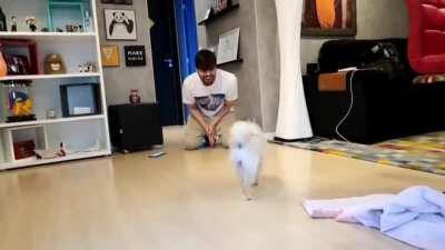 Renan estava certo,os animais sabem xingar.