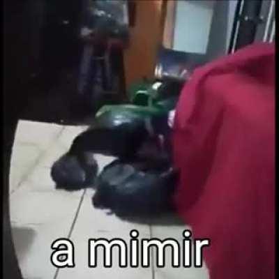 Dank_mimir