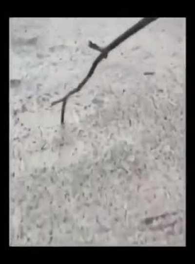 Wanted to make you guys feel old.