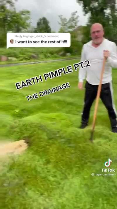 Sorry that it's from TikTok, but gotta revive this sub somehow.