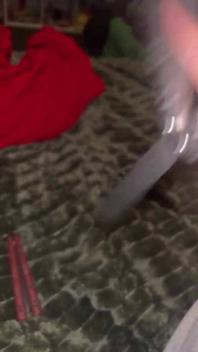 Which do u like better