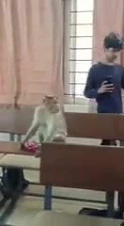 Do men even have feelings