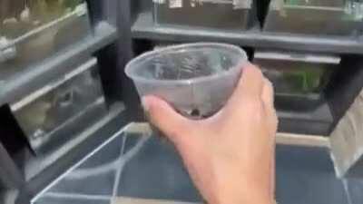 very nice and wholesome vid :)))))