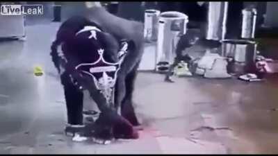 Elephant plays soccer with man