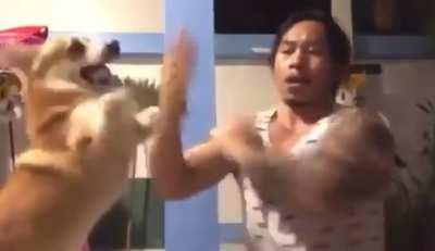 The way this guy plays with his dog