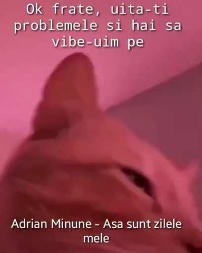 Haideti fratilor sa vibe-uim pe așa sunt zilele mele