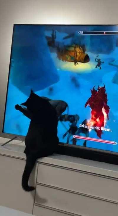 does your cat play skyrim? cause ours does🎮🖤