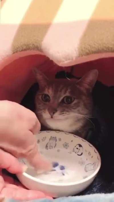 Me scrolling deep into this subreddit, accepting each post into my working memory, my brain becoming all noise and no signal