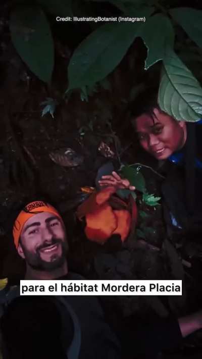 A man breaks down in tears upon finding one of the rarest flowers in the world, which he has been searching for for over 13 years.