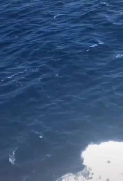 WCGW dancing and enjoying life with a beats pill in my hand