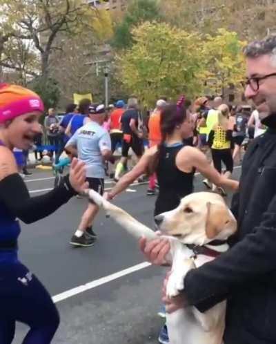 I request the highest of fives