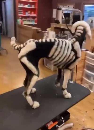 blursed_halloween cut