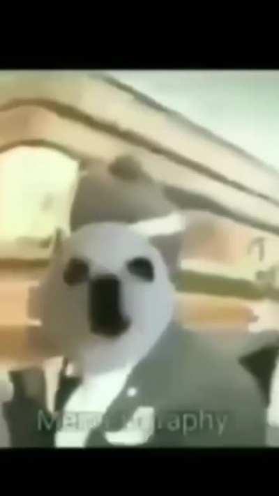 [MUST WATCH] [NSFW] If you love your dogs!