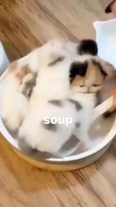 They will be served with spoon and you have to finish your bowl