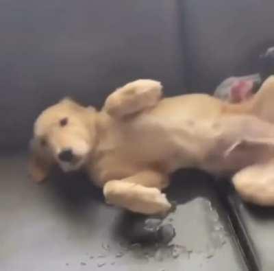 Potty training on point.