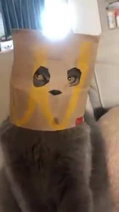 Human was murdered after that