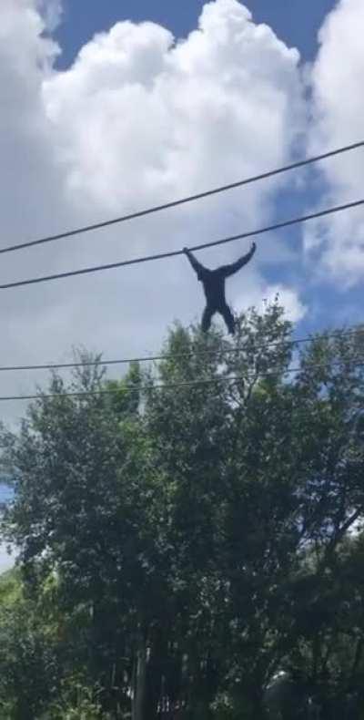 MONKEY 😈😳👈🏻😎🤙🏻