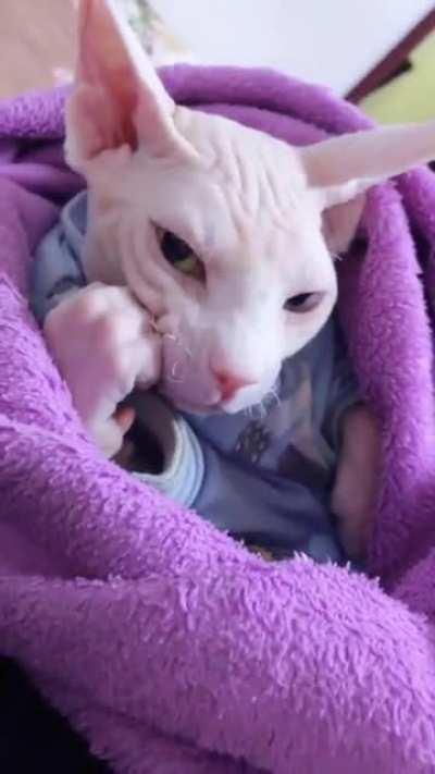 My sweet baby healed me😘