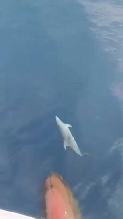 Relax, only happy thoughts now