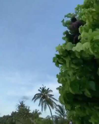 Beautiful execution, terrible landing