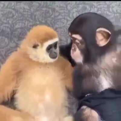 To all members of r/playboicarti ❤️🥺. NOW SAY THAT SHIT BACK!