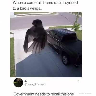 they didn’t even try with this model