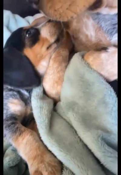 It was a nervous start...