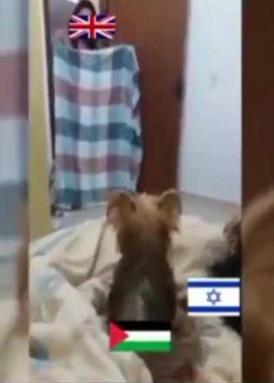 Pretty much how it went